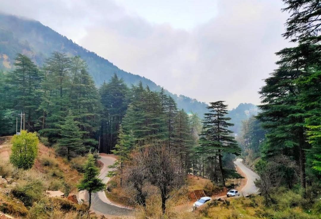 The Lake Cottage By Vrb Hotels Mcleodganj Dharamshala Exterior foto